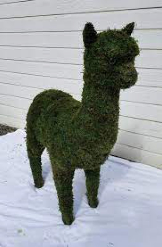 Topiary Llama's